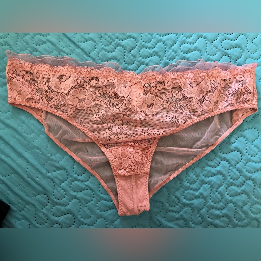 Victoria’s Secret Angels Pink Sheer Mesh “Cheeky” Panty, Large